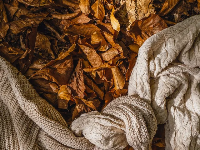 Sweaters tied together against autumn leaves