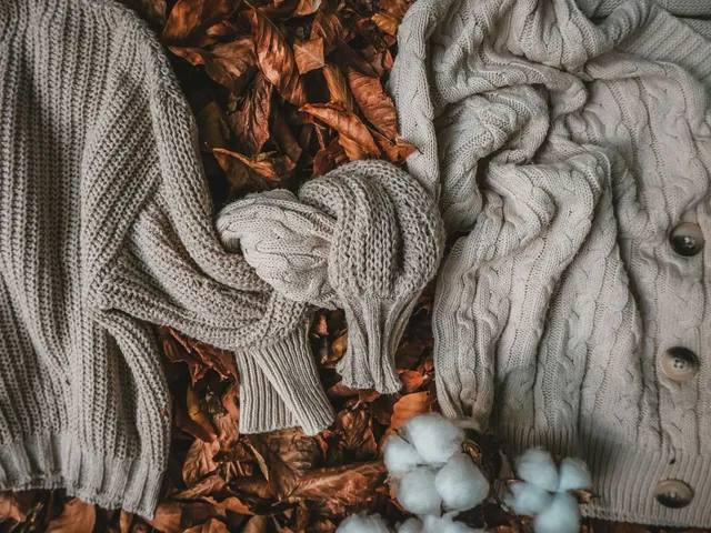 Sweaters laid out on the ground in autumn